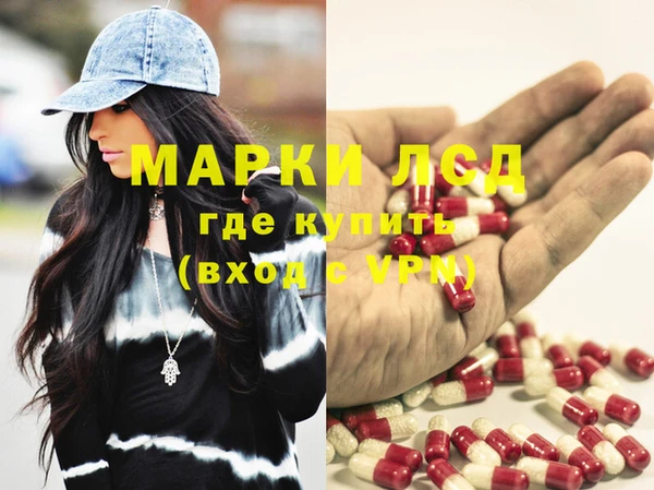 индика Вязники