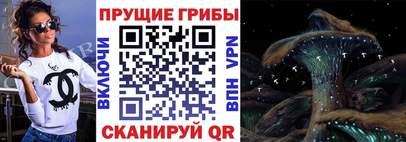 Псилоцибиновые грибы MAGIC MUSHROOMS  OMG ссылка  Любим 